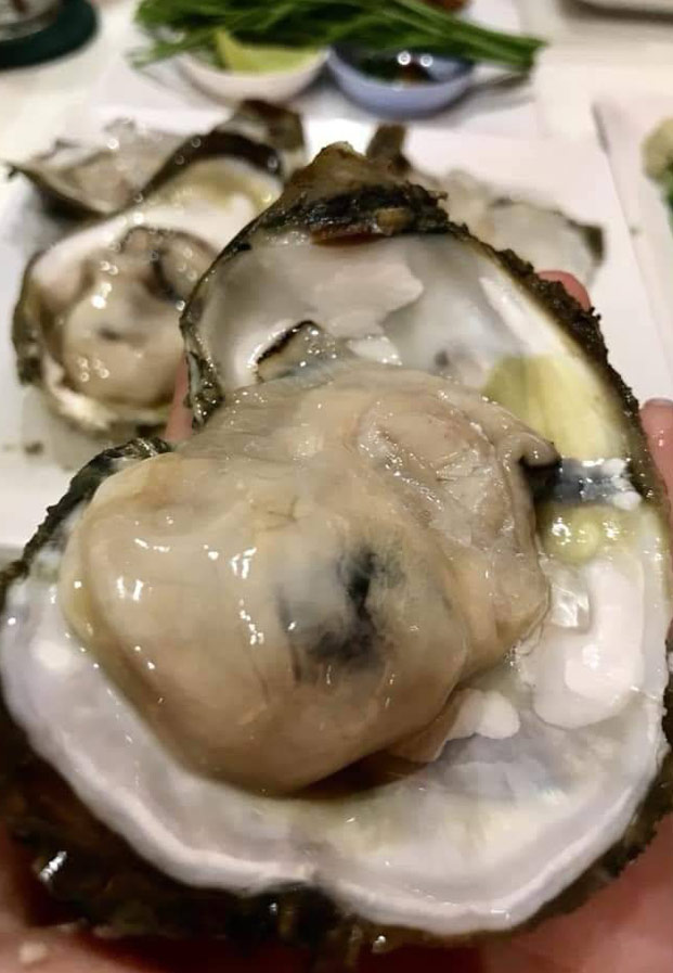 Oysterkinnaiiimage