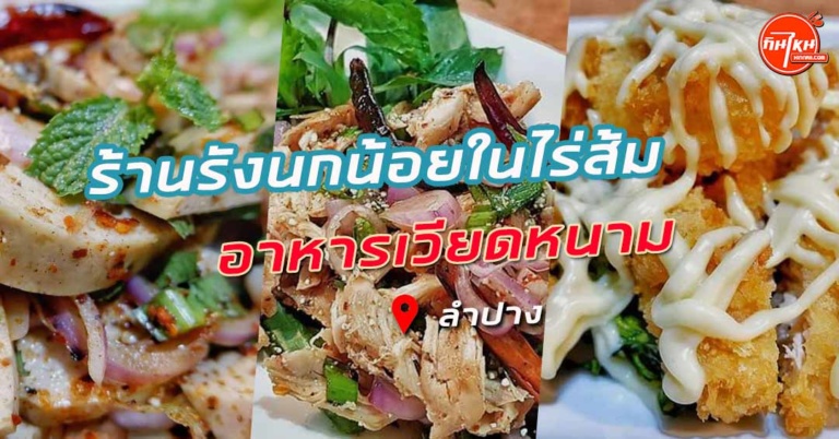 รีวิวร้าน รังนกน้อยในไร่ส้ม อาหารสะอาดสไตล์ไทย